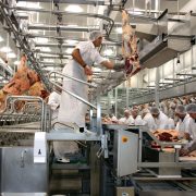 Meat Processing